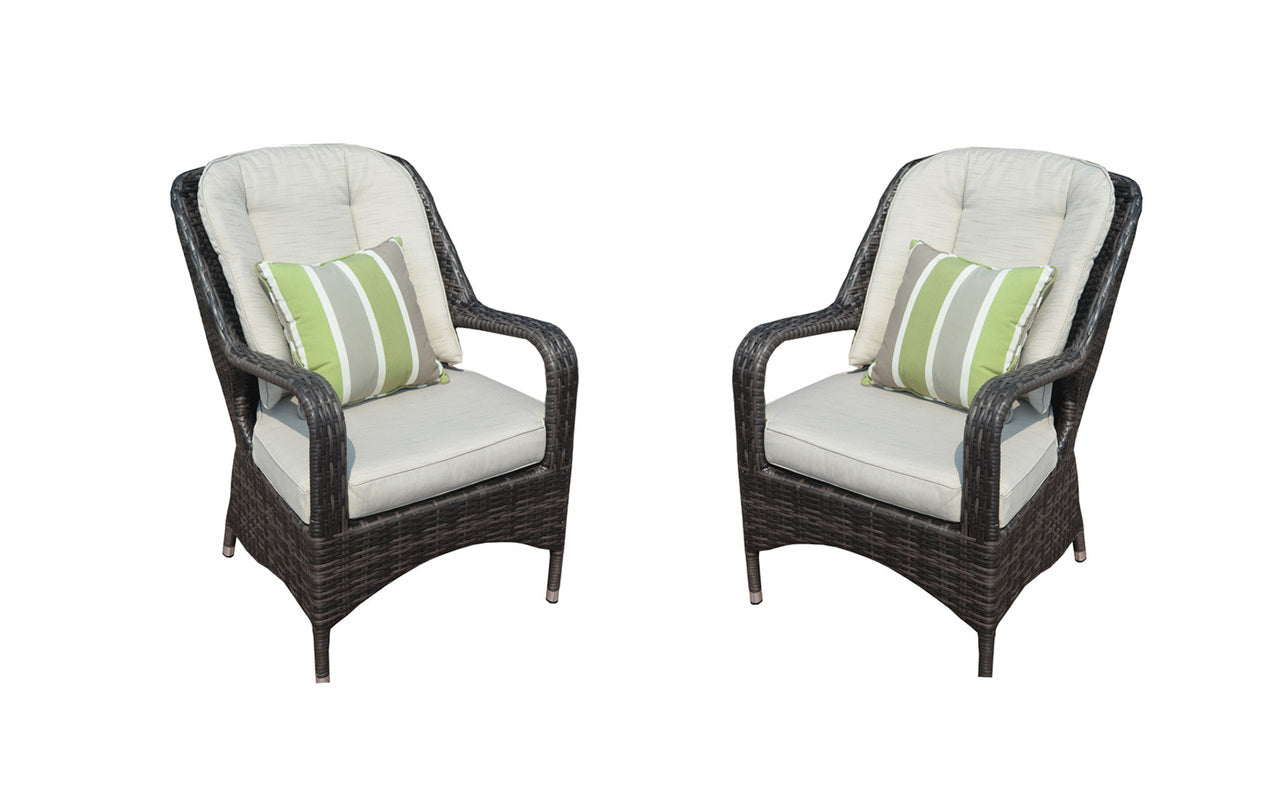 2-Piece Liberatore Dining Chairs with Cushions