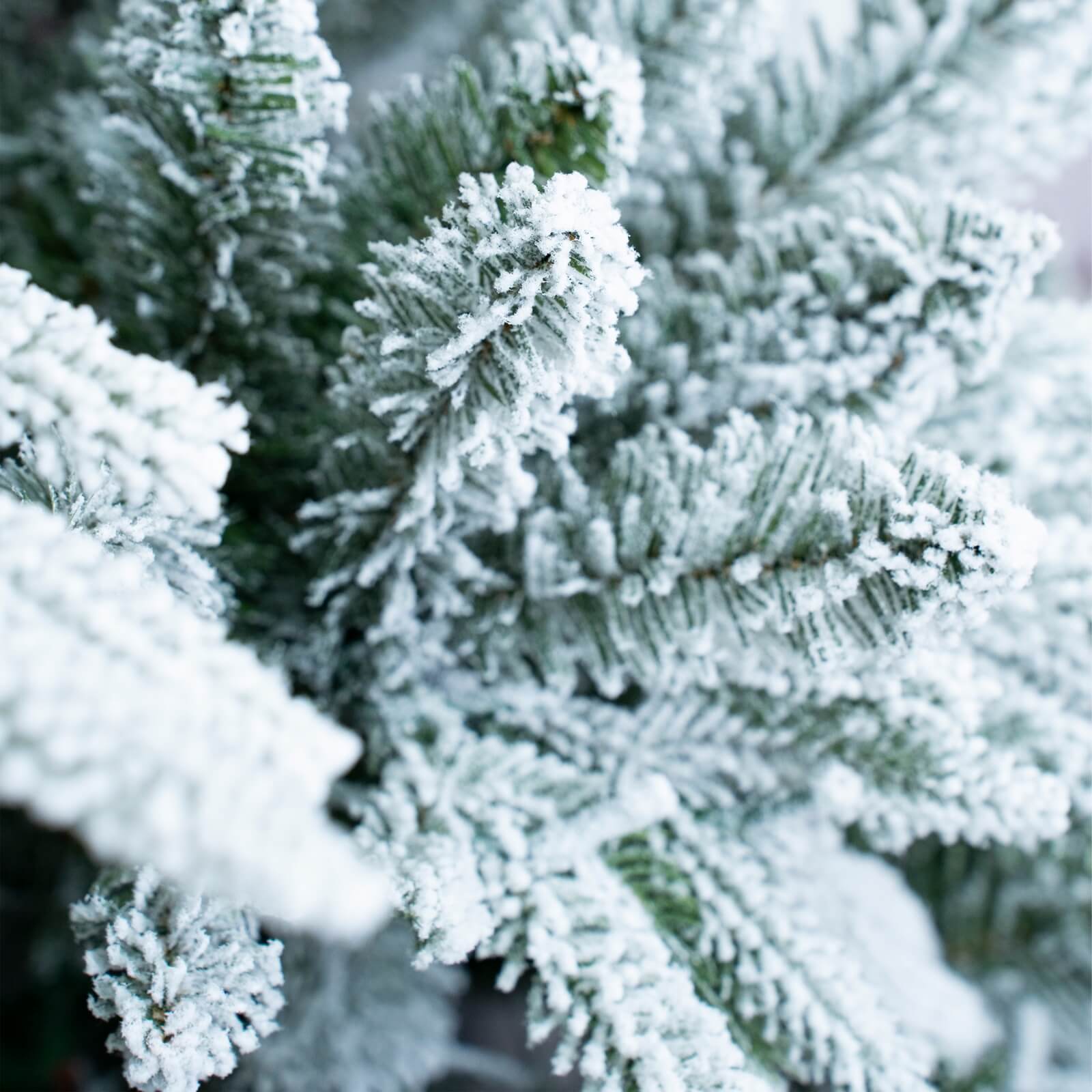 7FT Snow-Flocked Christmas Tree with Optional 500 LED Lights(PJT-2506-7FT)